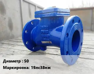 Клапан стальной 50 19лс38нж Ру16 обратный от -60 до +425